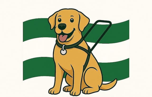 todos nuestros Perros , Usuarios, acompañantes, voluntarios y el guia en la entrada de Italica.